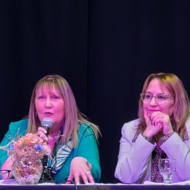 La respuesta del Gobierno a ADOSAC: “¿Es necesario seguir con el paro?, el camino es el diálogo con los estudiantes en el aula”