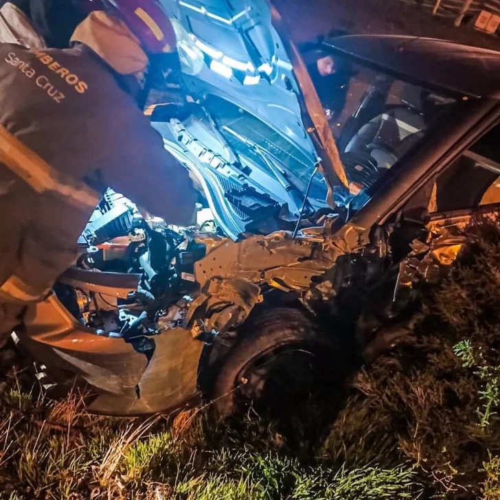 Un auto alquilado impactó contra un árbol en la avenida principal de El Calafate