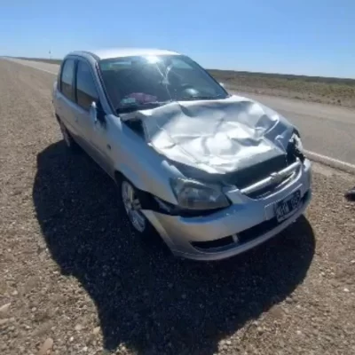 Un susto en la Ruta 3: un guanaco se cruzó en el camino y provocó un choque cerca de Tres Cerros Un susto en la Ruta 3: un guanaco se cruzó en el camino y provocó un choque cerca de Tres Cerros