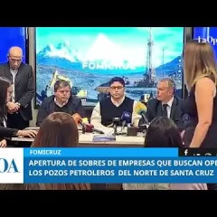 Licitación de las áreas de YPF en Santa Cruz