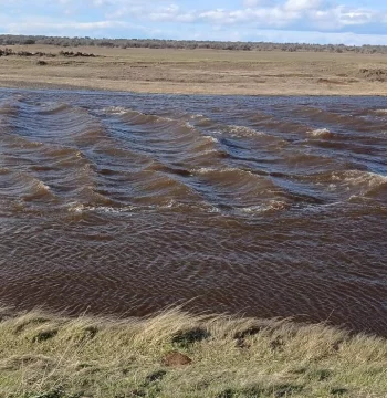 SPSE advirtió posible disminución temporal de agua en Río Gallegos SPSE advirtió posible disminución temporal de agua en Río Gallegos