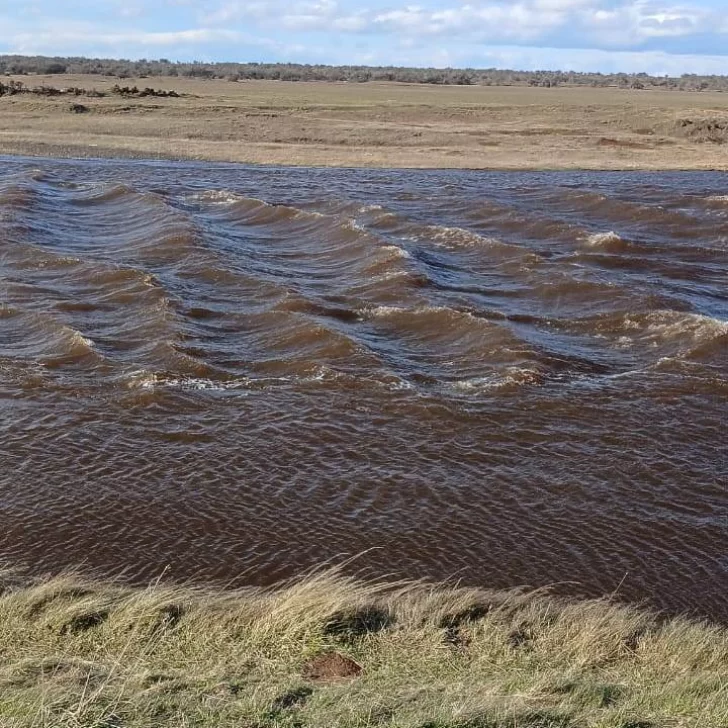 SPSE advirtió posible disminución temporal de agua en Río Gallegos SPSE advirtió posible disminución temporal de agua en Río Gallegos