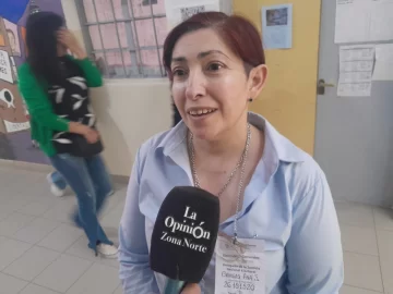 Ana Bringas, delegada en la Escuela N° 20: “El porcentaje de participación es bajo”