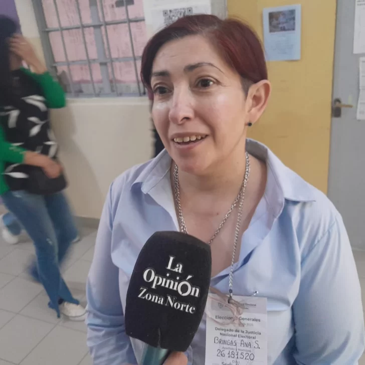 Ana Bringas, delegada en la Escuela N° 20: “El porcentaje de participación es bajo”
