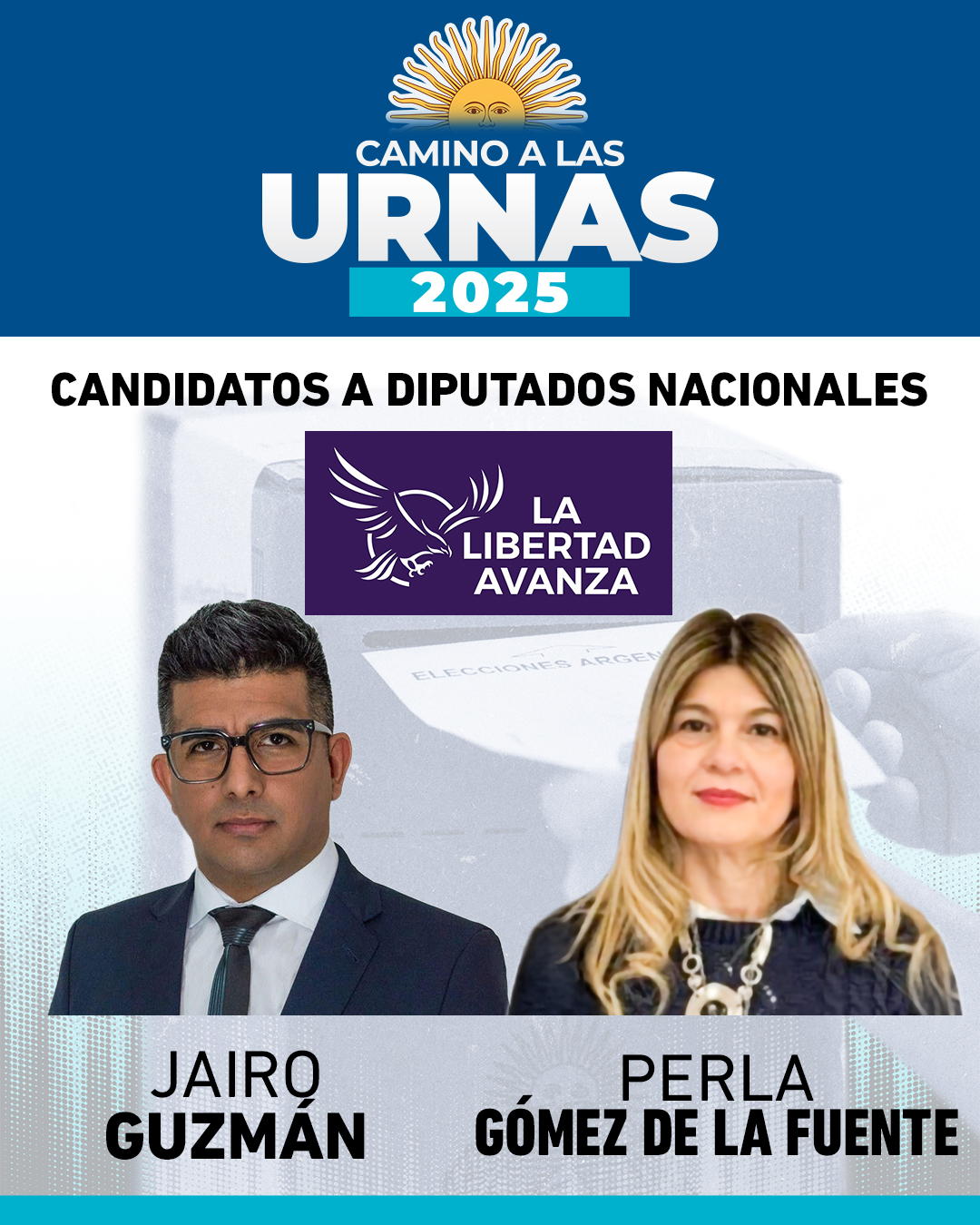 Elecciones 2025: ¿Cómo saber dónde voto?