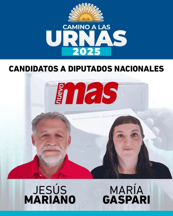 Elecciones 2025: ¿Cómo saber dónde voto?