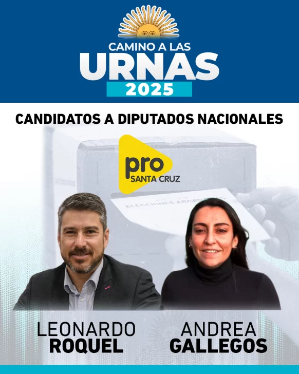 Elecciones 2025: ¿Cómo saber dónde voto?
