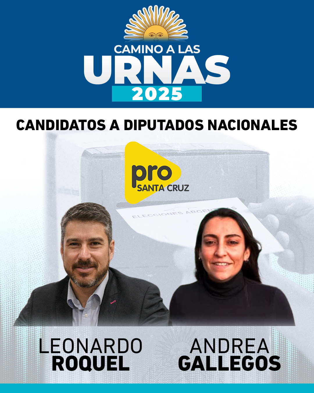 Elecciones 2025: ¿Cómo saber dónde voto?
