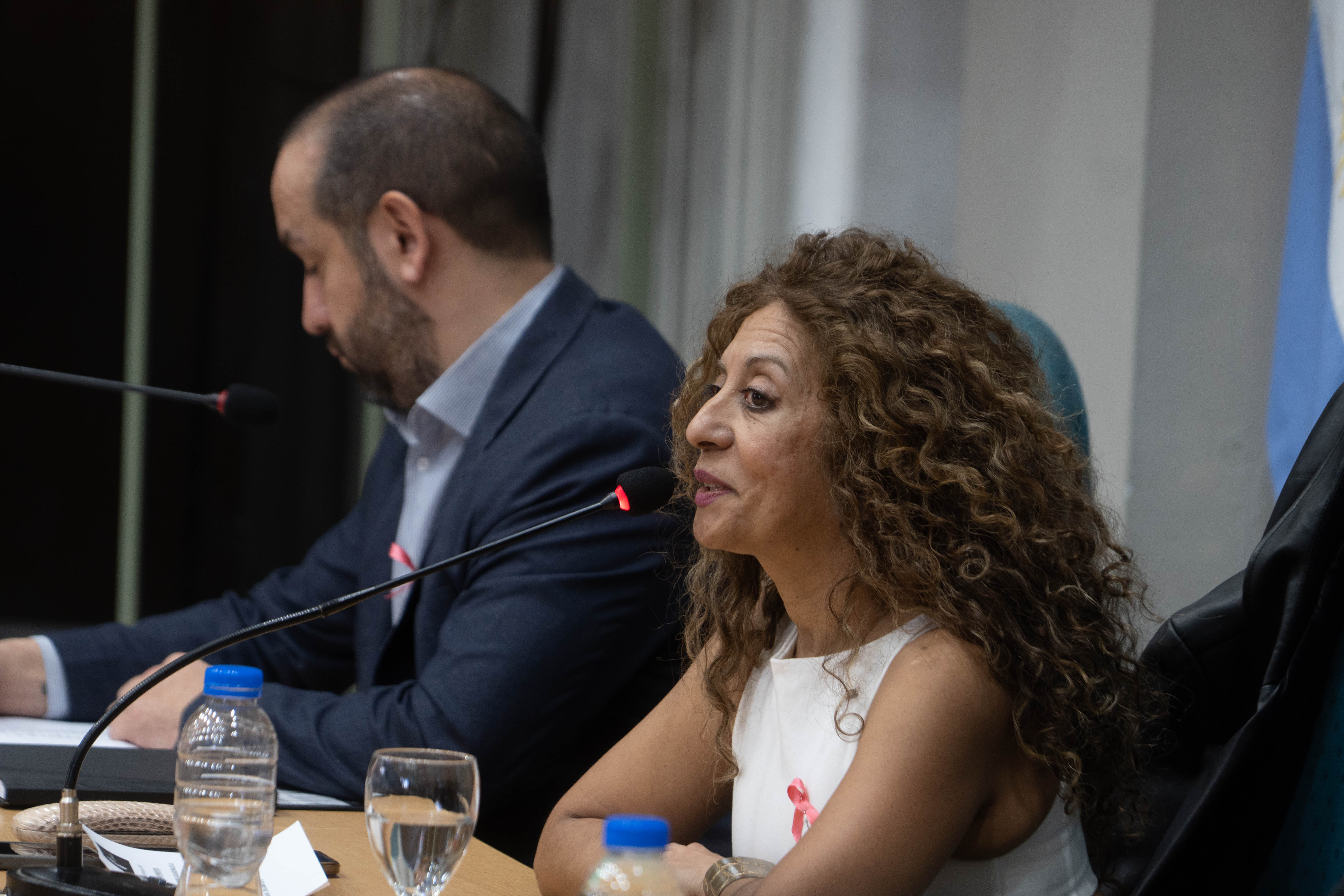  La reunión fue presidida por la diputada Adriana Nieto por la ausencia del vicegobernador Fabián Leguizamón. FOTO: LEANDRO FRANCO / LA OPINIÓN AUSTRAL.