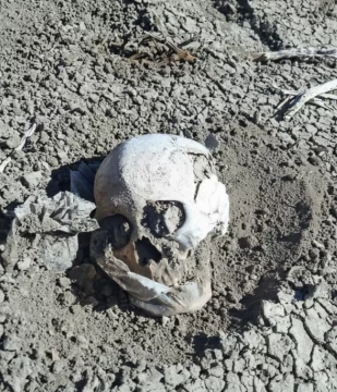 Hallazgo macabro en Las Heras: encontraron un cráneo humano a pocos kilómetros de la ciudad Hallazgo macabro en Las Heras: encontraron un cráneo humano a pocos kilómetros de la ciudad