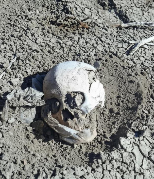 Hallazgo macabro en Las Heras: encontraron un cráneo humano a pocos kilómetros de la ciudad