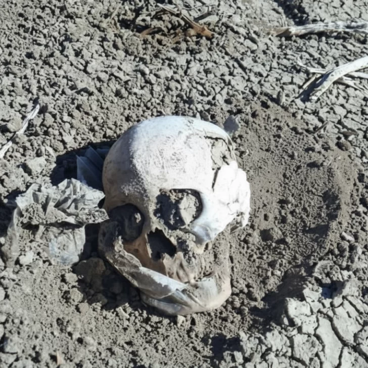 Hallazgo macabro en Las Heras: encontraron un cráneo humano a pocos kilómetros de la ciudad Hallazgo macabro en Las Heras: encontraron un cráneo humano a pocos kilómetros de la ciudad