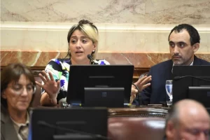 Carambia y Gadano habrían abandonado un grupo de WhatsApp tras votar contra la ley de “Inviolabilidad de la Propiedad Privada”