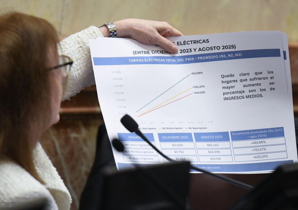  Alicia indicó que entre 4 y 7 veces incrementó la tarifa eléctrica y entre 12 y 20 veces las tarifas de gas.