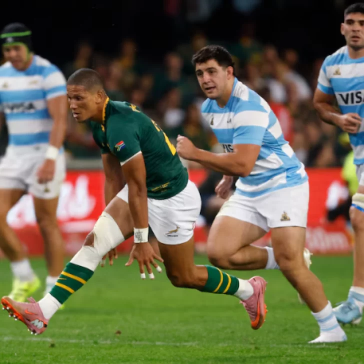 Los Pumas enfrentan a los poderosos Springboks en el cierre del Rugby Championship Los Pumas enfrentan a los poderosos Springboks en el cierre del Rugby Championship