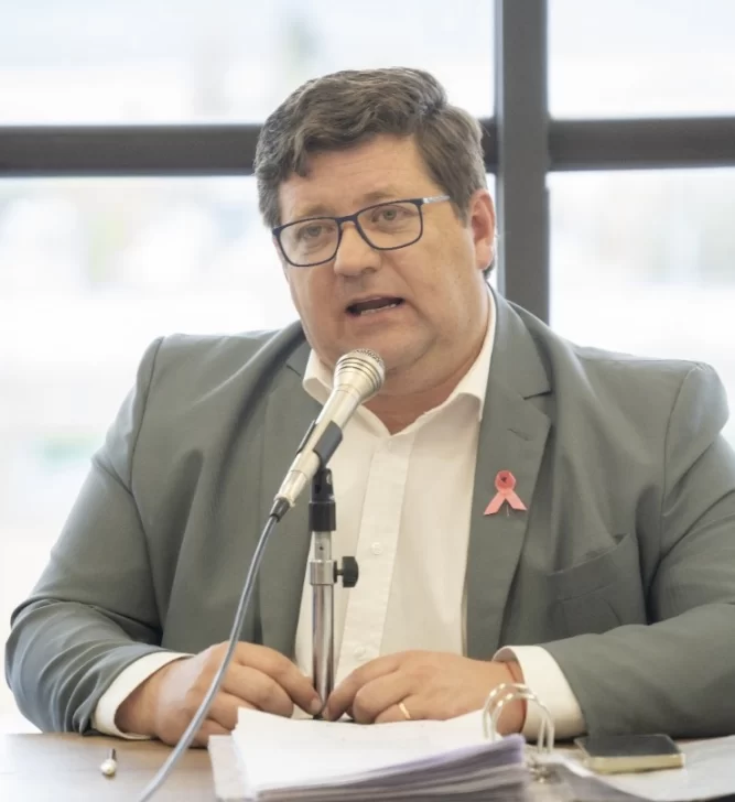  Pedro Luxen durante la comisión de Asuntos Constitucionales.