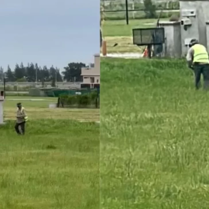 Golpearon a un carpincho hasta dejarlo en estado crítico en un country de Canning Golpearon a un carpincho hasta dejarlo en estado crítico en un country de Canning