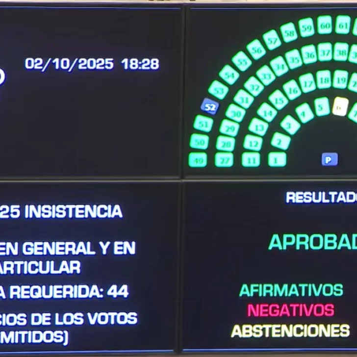 El Senado rechazó los vetos de Milei: deberá cumplir con la emergencia pediátrica y el financiamiento universitario El Senado rechazó los vetos de Milei: deberá cumplir con la emergencia pediátrica y el financiamiento universitario