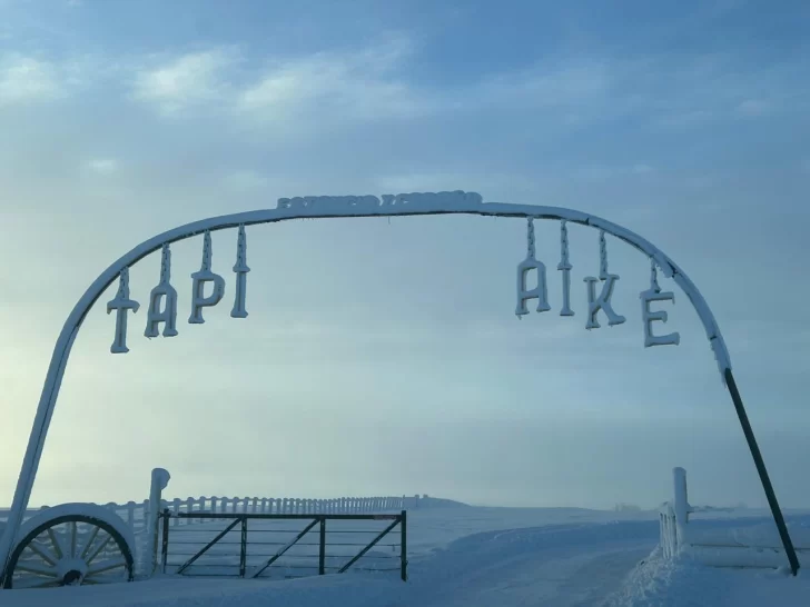 Santa Cruz: cómo se recompuso y qué desafíos se plantea un productor local a un año de la gran nevada