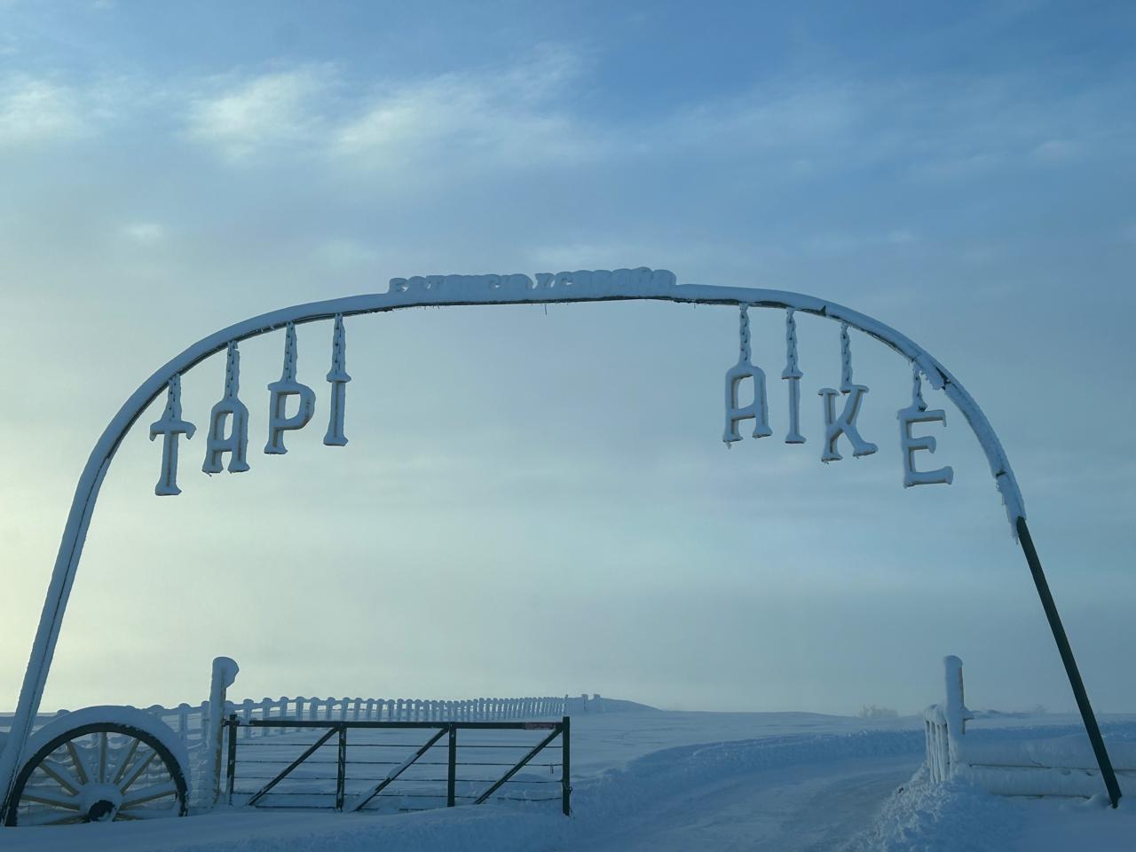 Santa Cruz: cómo se recompuso y qué desafíos se plantea un productor local a un año de la gran nevada