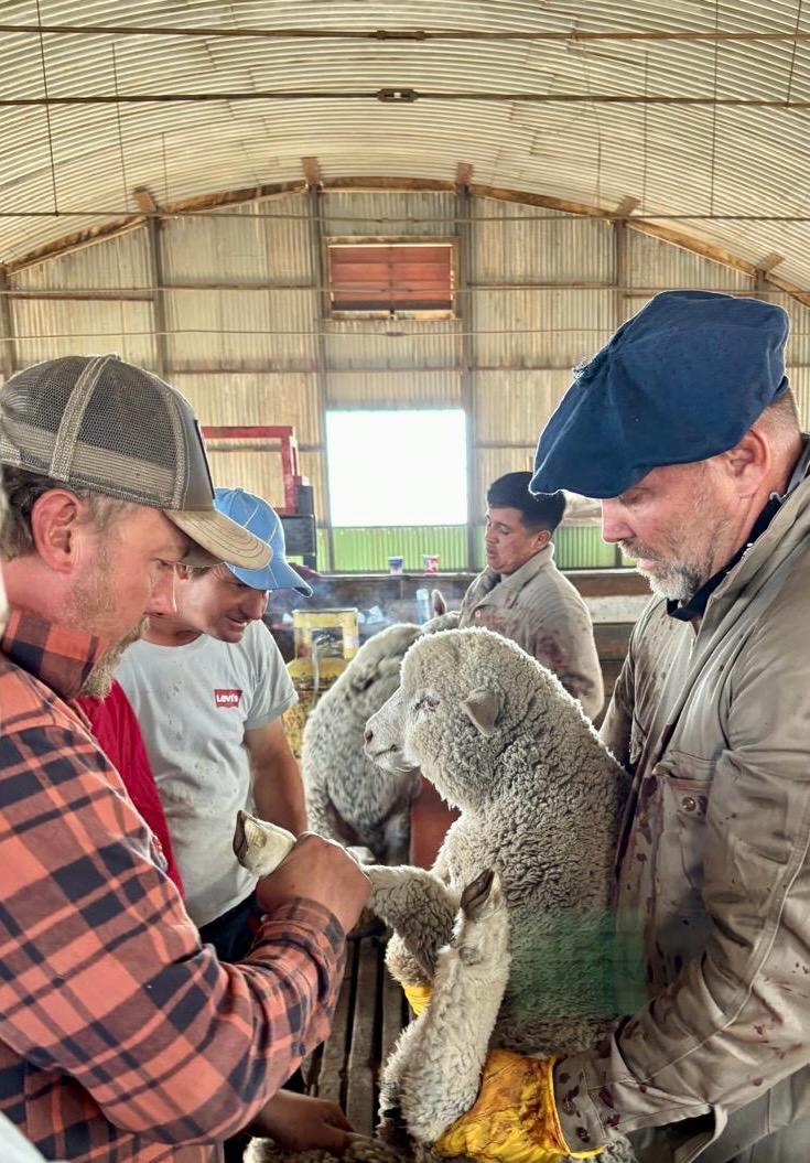  Sebastián Jamieson, administrador de la estancia y Cabaña Tapi-Aike, ubicada sobre la Ruta Nacional N° 40, al sur de El Calafate. FOTO: SANTA CRUZ PRODUCE