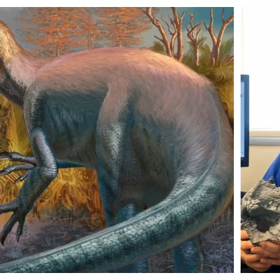 Paleontólogo de Santa Cruz encabezó el descubrimiento de Joaquinraptor, un dinosaurio carnívoro que vivió en Chubut