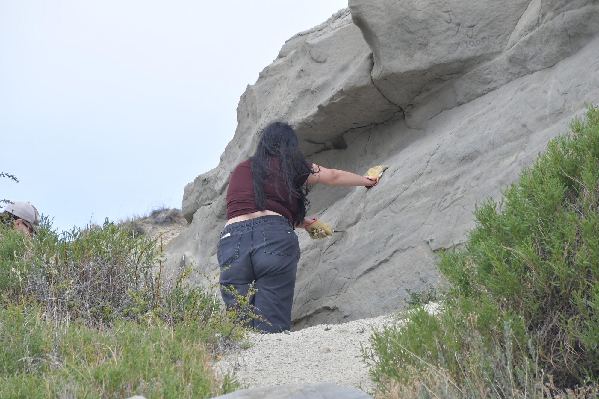  El trabajo fue de talla en relieve. Foto: José Silva/La Opinión Austral