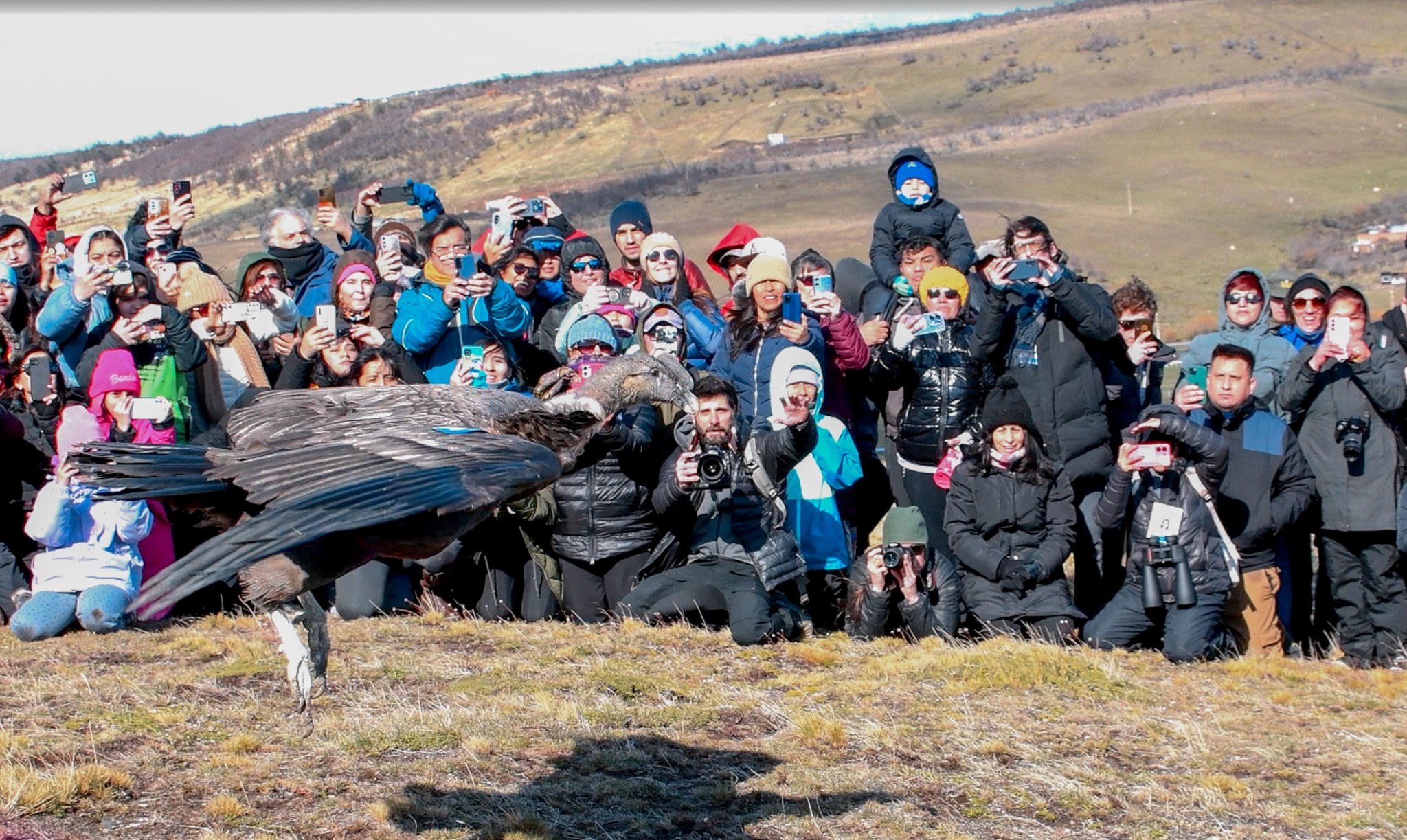  Walaq listo para volar.