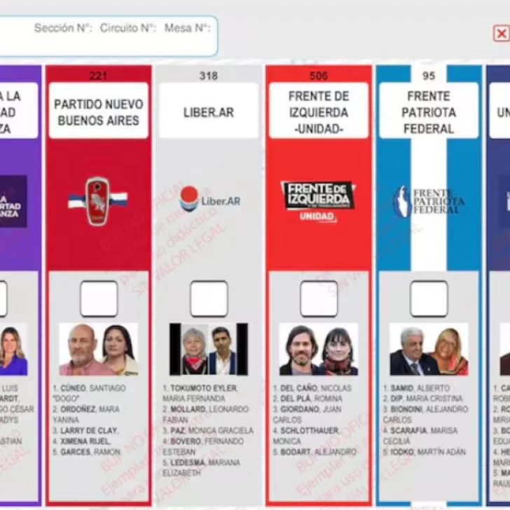 La Justicia rechazó reimprimir boletas de La Libertad Avanza y se mantendrá la imagen de Espert