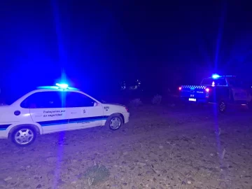 Secuestran caja con millones de pesos en medicamentos para equinos en la frontera con Chile