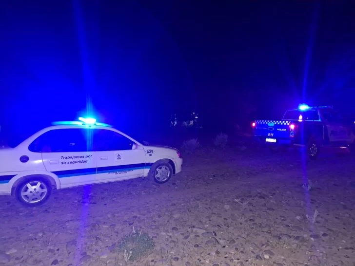 Secuestran caja con millones de pesos en medicamentos para equinos en la frontera con Chile