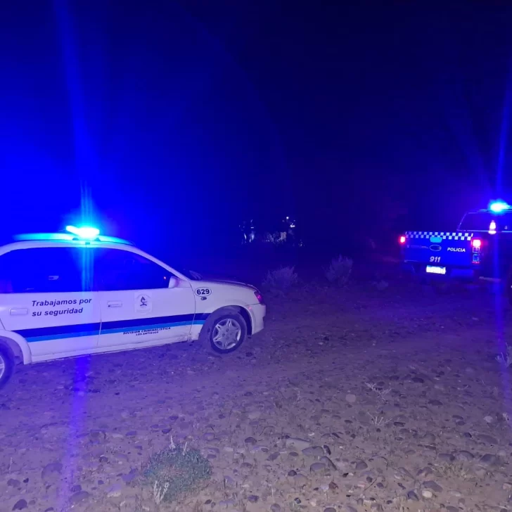 Secuestran caja con millones de pesos en medicamentos para equinos en la frontera con Chile