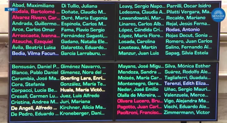  De esta forma votaron por la emergencia pediátrica que influye directamente en el Hospital Garrahan.