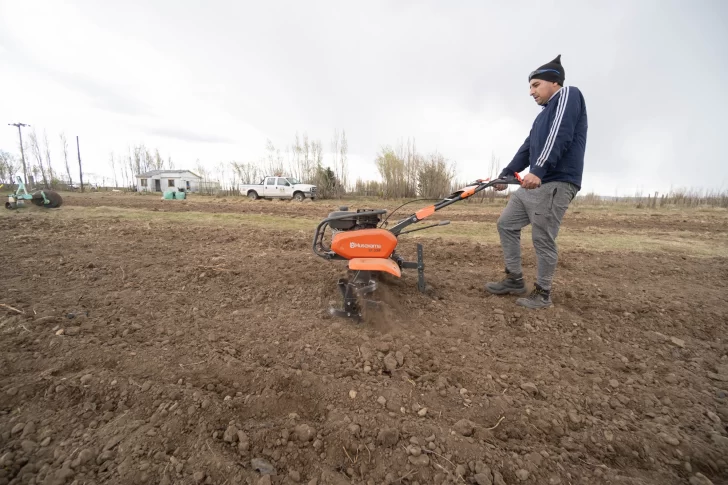 RECORRIDA-DE-OBRAS_-VIDAL_15102025_17-728x485 RECORRIDA-DE-OBRAS_-VIDAL_15102025_17-728x485