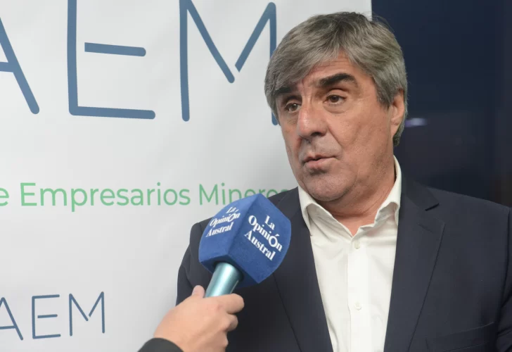  Roberto Cacciola, presidente de la Cámara Argentina de Empresarios Mineros.
