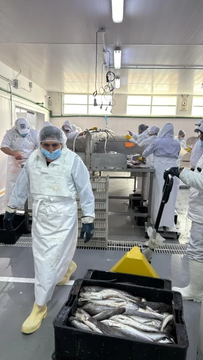  La llegada de materia prima apunta a reimpulsar la producción local.