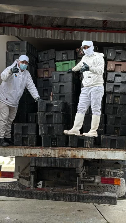  Con 250 cajones de merluza, el buque Norman marcó un hecho histórico para Puerto San Julián.
