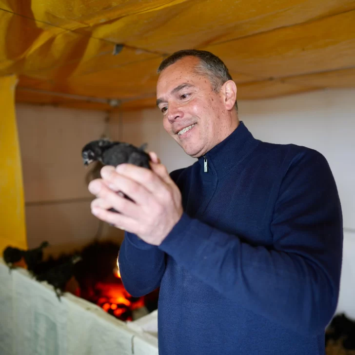 Daniel Álvarez visitó un nuevo proyecto de producción avícola pronto a inaugurarse en Puerto Santa Cruz