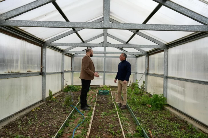  Daniel Alvarez recorriendo las instalaciones de un invernadero. FOTO: FOTO: PRENSA GOBIERNO DE LAPROVINCIA DE SANTA CRUZ.