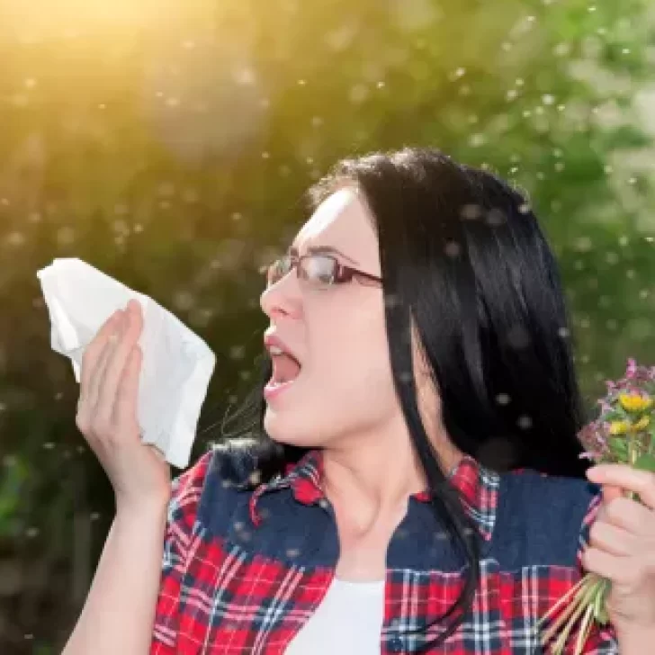 Pelusas blancas y alergia: cómo los antihistamínicos pueden ayudar