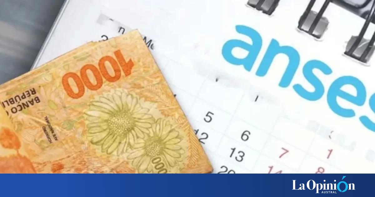 Cambia un requisito para cobrar el bono para jubilados en noviembre ...