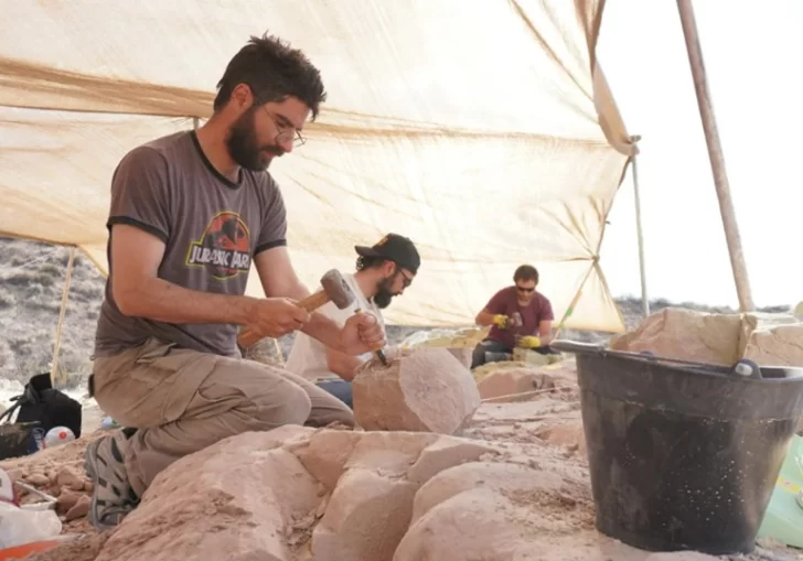El CONICET transmitirá en vivo la búsqueda de un dinosaurio inédito en la Patagonia