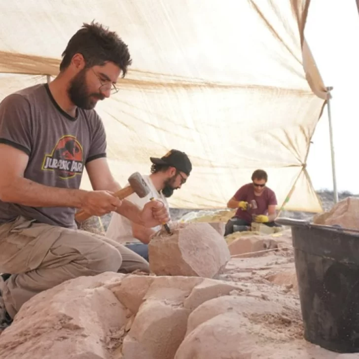 El CONICET transmitirá en vivo la búsqueda de un dinosaurio inédito en la Patagonia