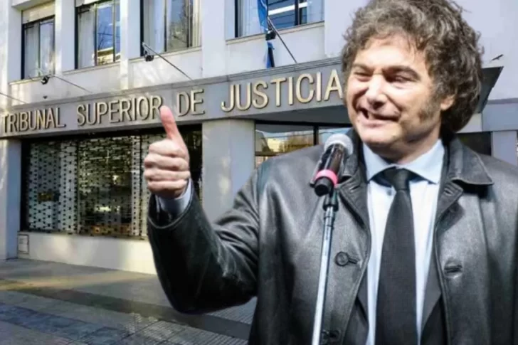 Javier Milei podría designar un interventor en la Justicia de Santa Cruz: Qué dice el proyecto de José Luis Garrido