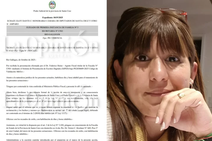 La jueza Cecilia López suspendió por 30 días las designaciones de Sergio Acevedo y José González Nora