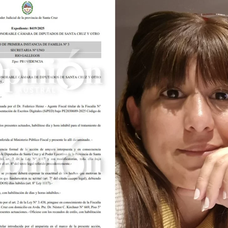 La jueza Cecilia López suspendió por 30 días las designaciones de Sergio Acevedo y José González Nora