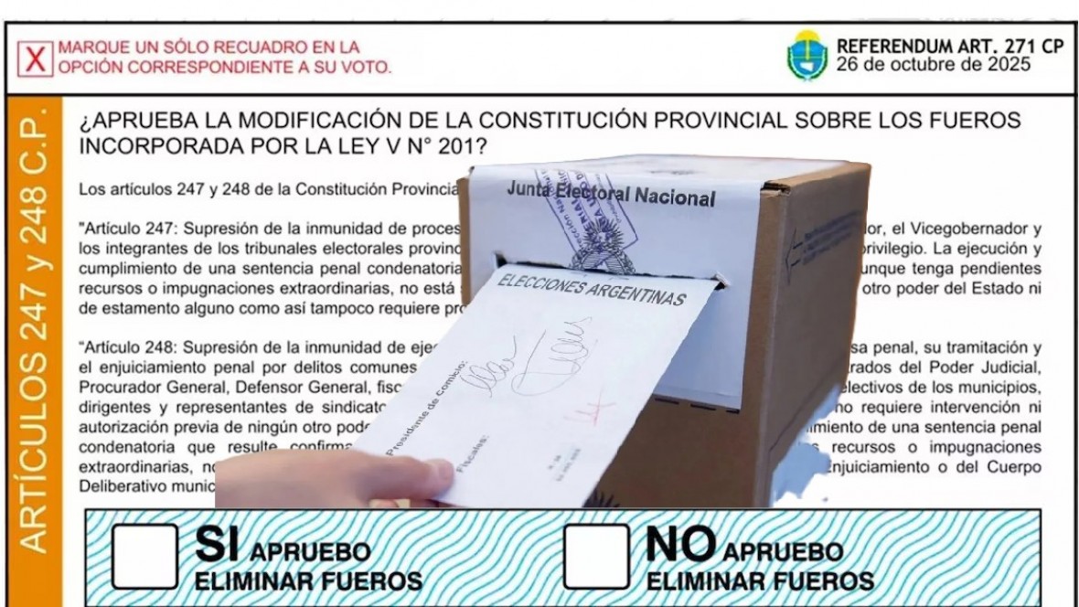  Modelo de la boleta que la gente debió ingresar a una urna paralela a la de elección legislativa.