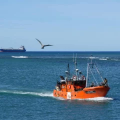 Con Santa Cruz Puede S.A.U., la provincia apuesta a desarrollo y futuro