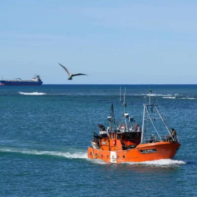 Con Santa Cruz Puede S.A.U., la provincia apuesta a desarrollo y futuro Con Santa Cruz Puede S.A.U., la provincia apuesta a desarrollo y futuro