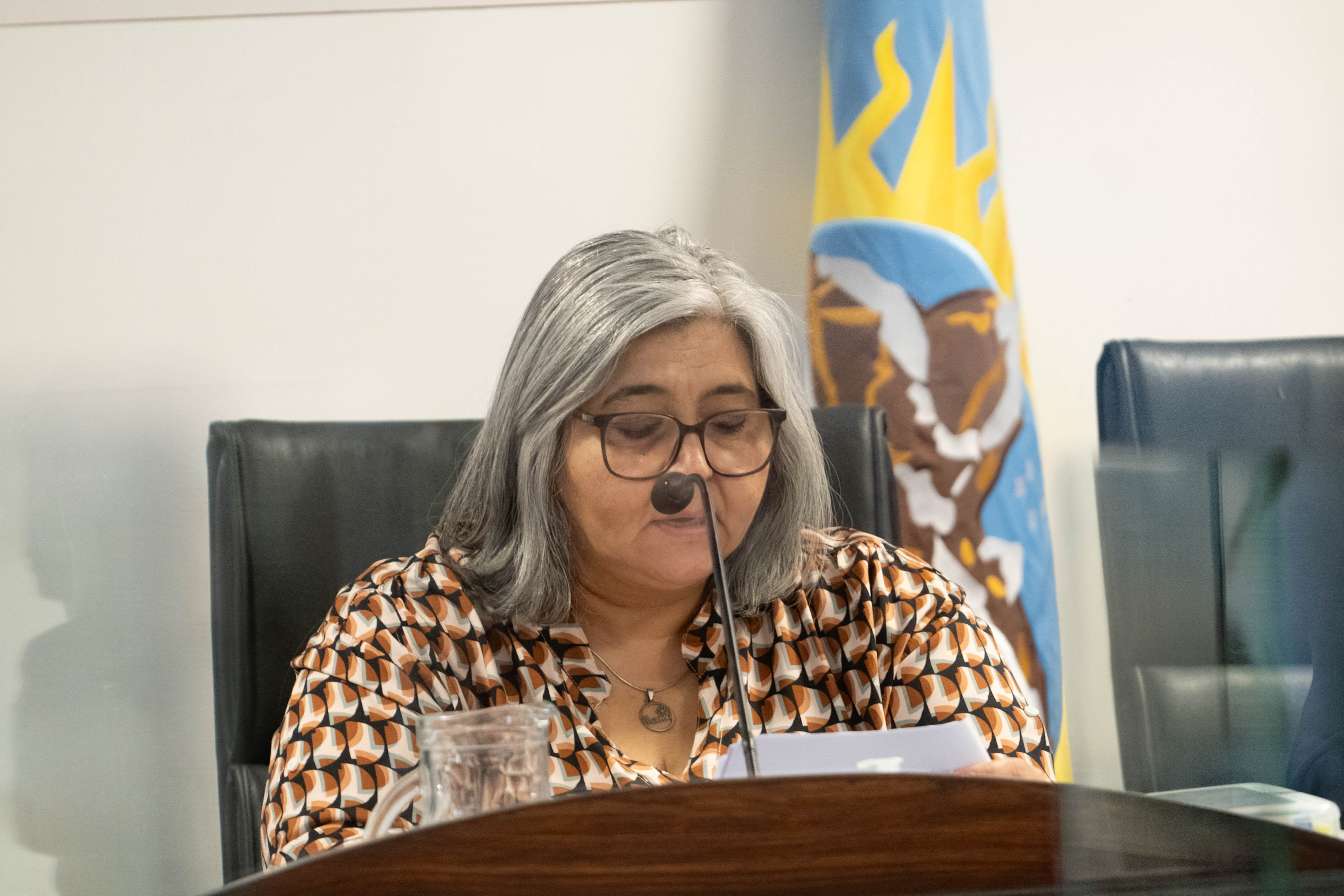  María Alejandra Vila la presidenta del tribunal de juicio. FOTO: LEANDRO FRANCO/ LA OPINIÓN AUSTRAL